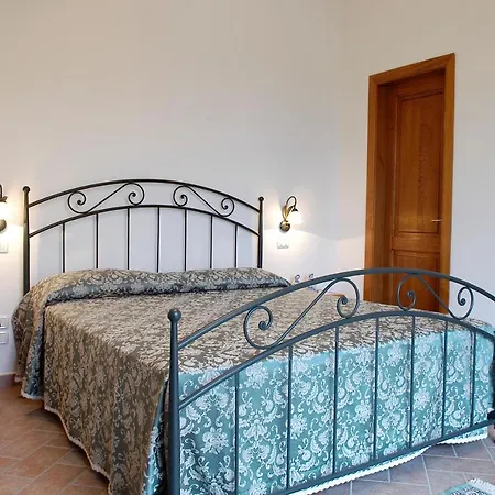 Il Pino - Querce Daire