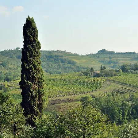 Il Pino - Querce Daire Gambassi Terme
