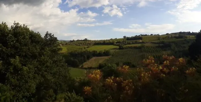 Il Pino - Querce Gambassi Terme