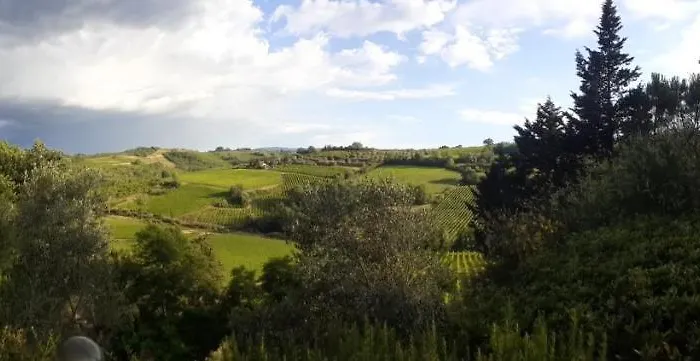 Il Pino - Querce Gambassi Terme