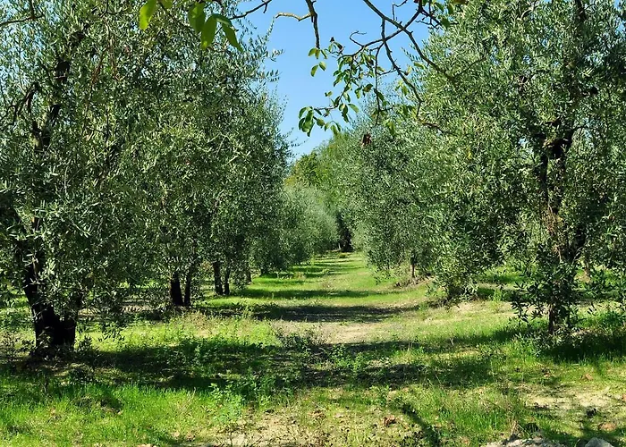 Apartment Il Pino - Querce