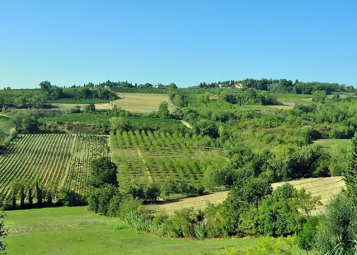 Il Pino - Querce Gambassi Terme